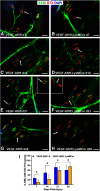 Figure 10.