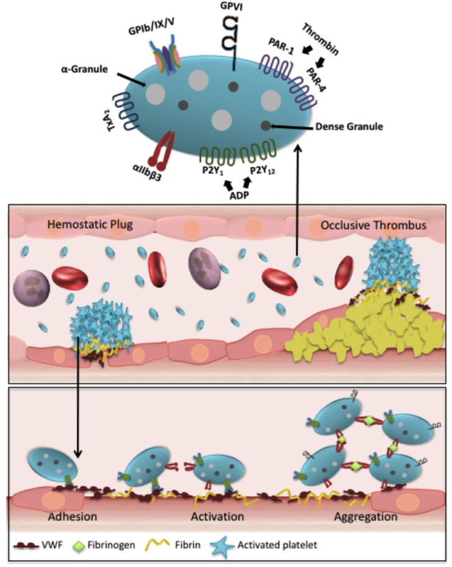 Figure 2.