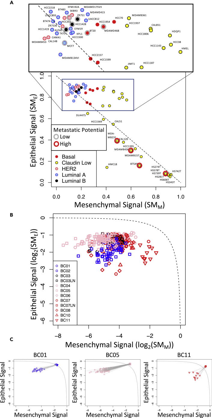 Figure 5