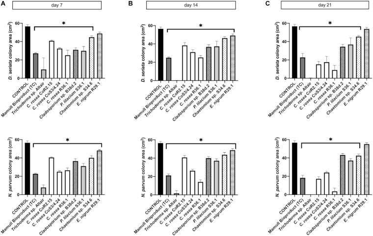 FIGURE 4