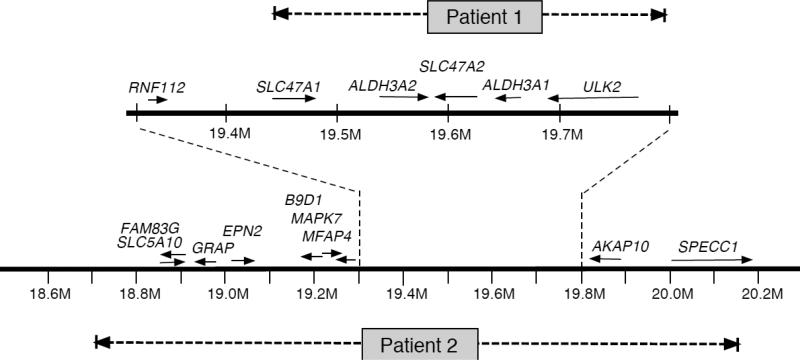 Fig 3