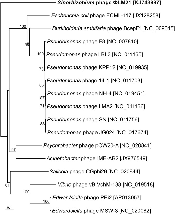 FIG 8