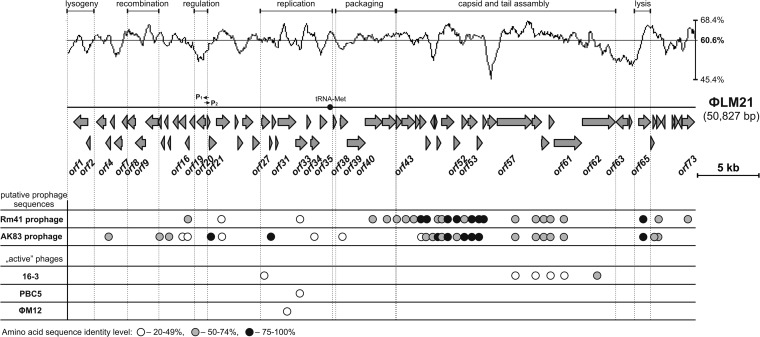 FIG 2