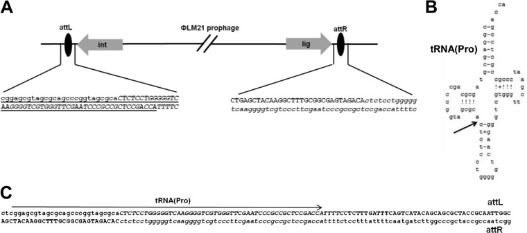 FIG 3