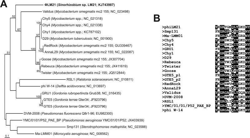 FIG 6