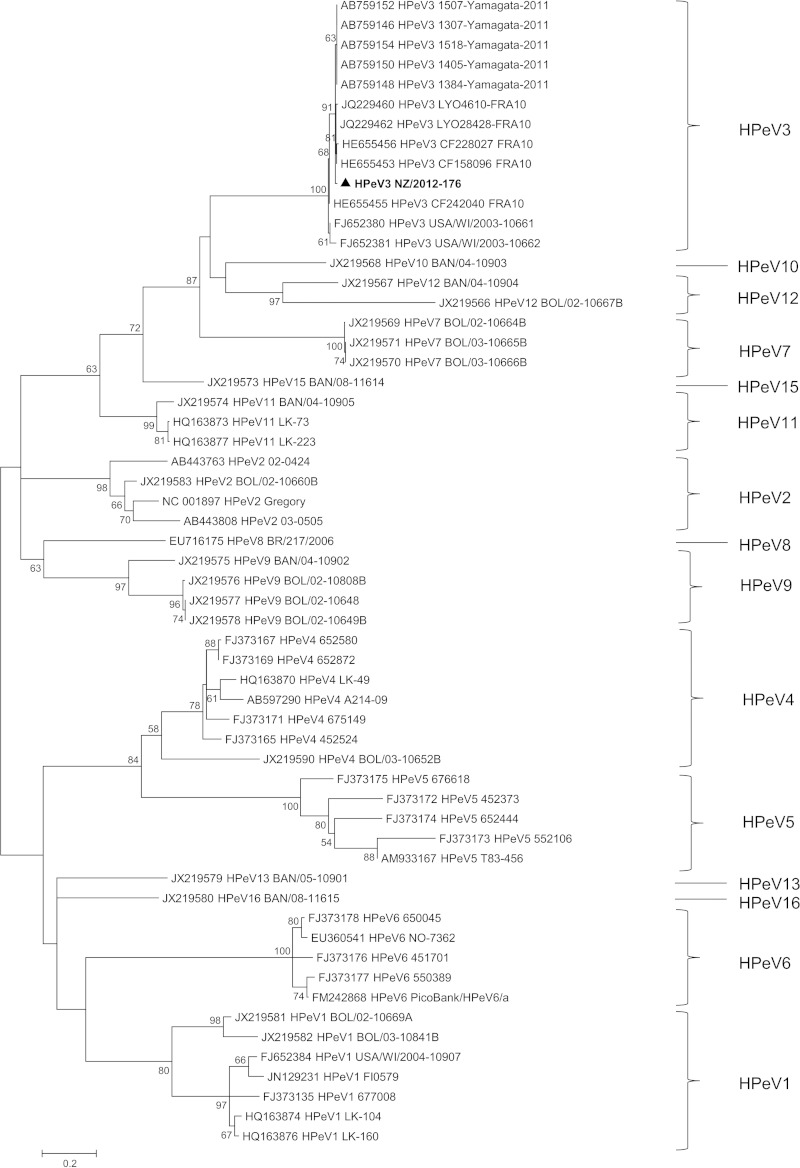 FIG 1