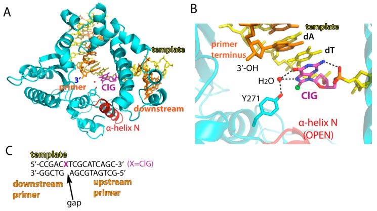 Figure 2