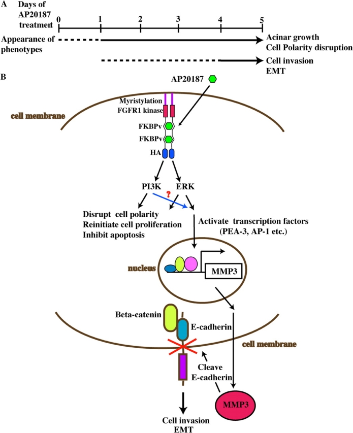 Figure 9.