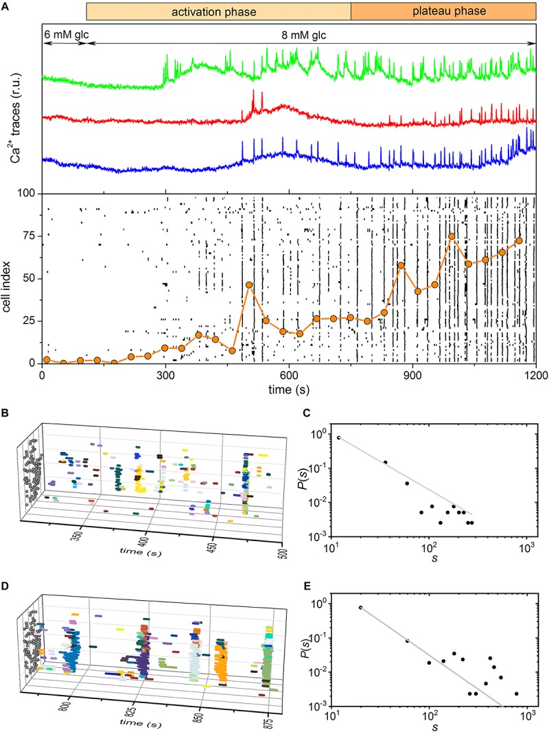 FIGURE 4