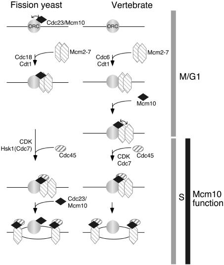 Figure 9.