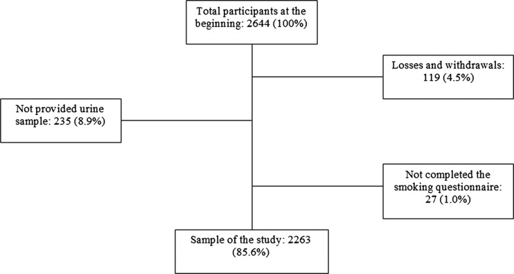 Figure 1