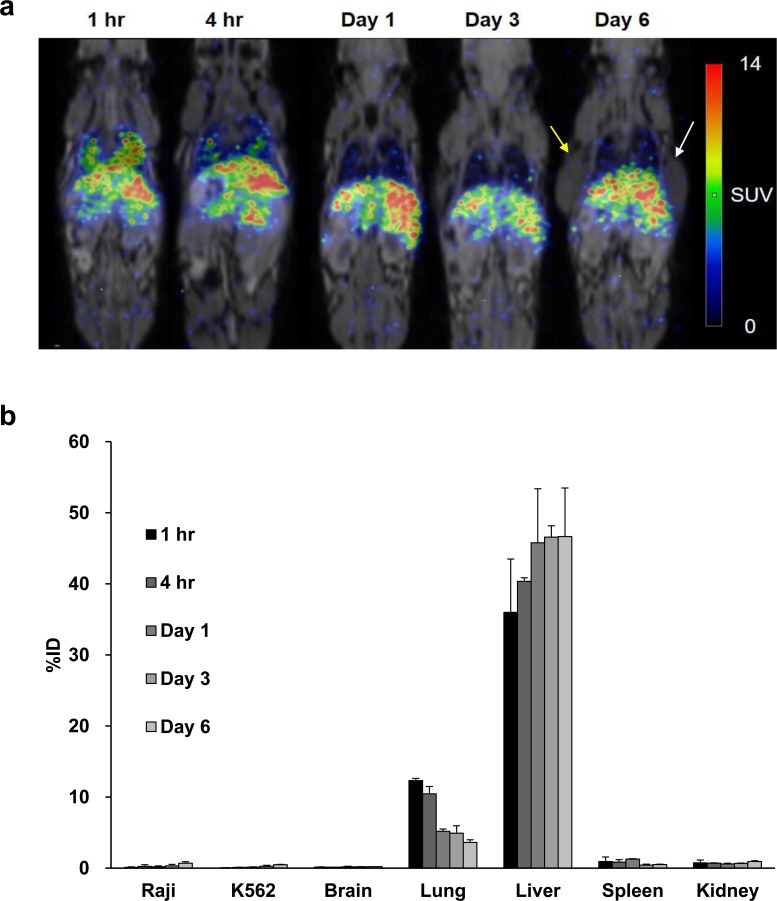 Fig 6