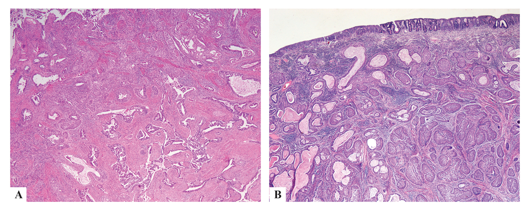 Figure 5: