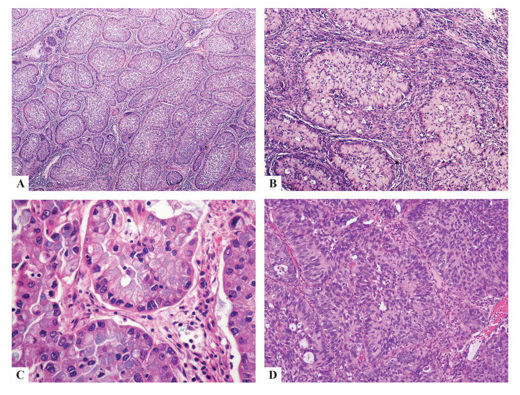 Figure 1: