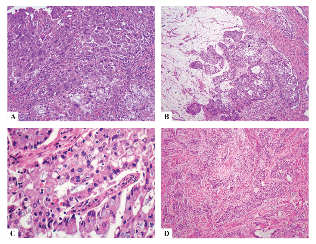 Figure 4: