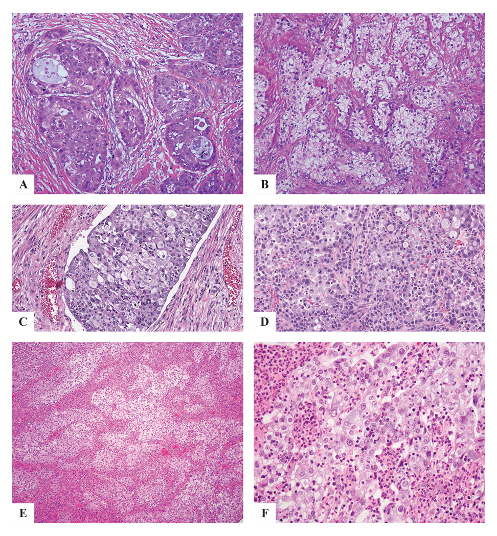 Figure 3: