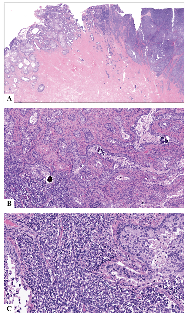 Figure 6: