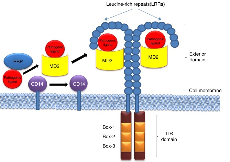 Fig. 3