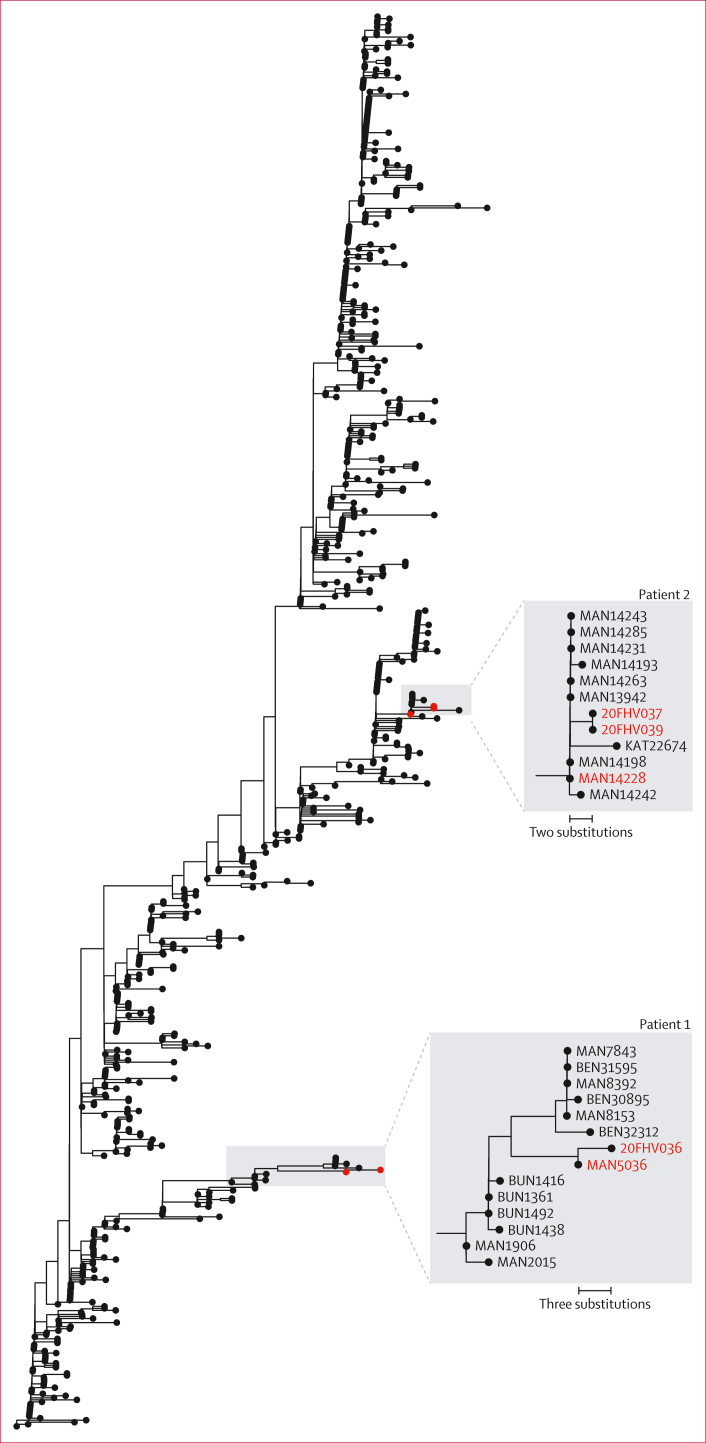 Figure 2