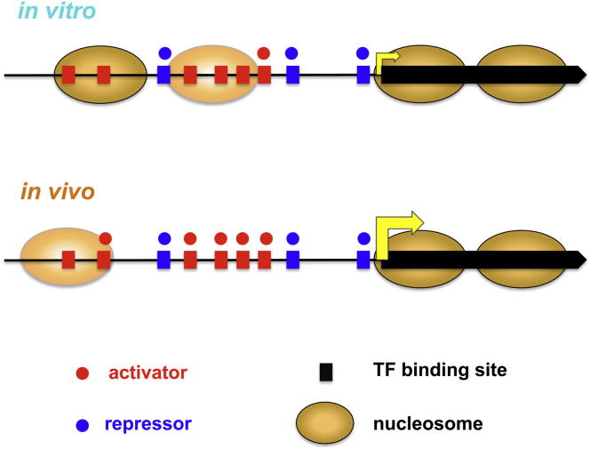 Figure 6