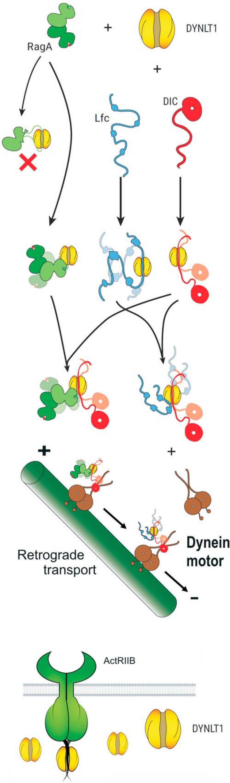 FIGURE 7.