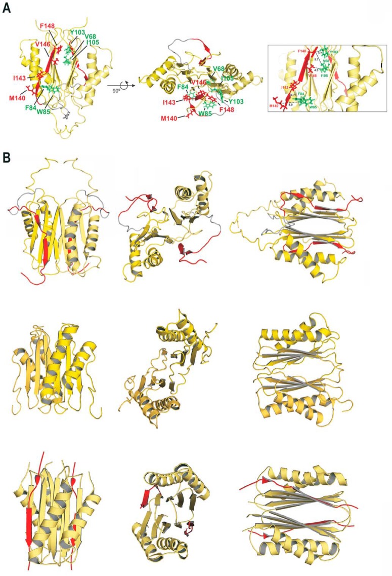 FIGURE 3.