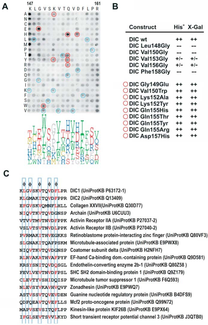 FIGURE 4.