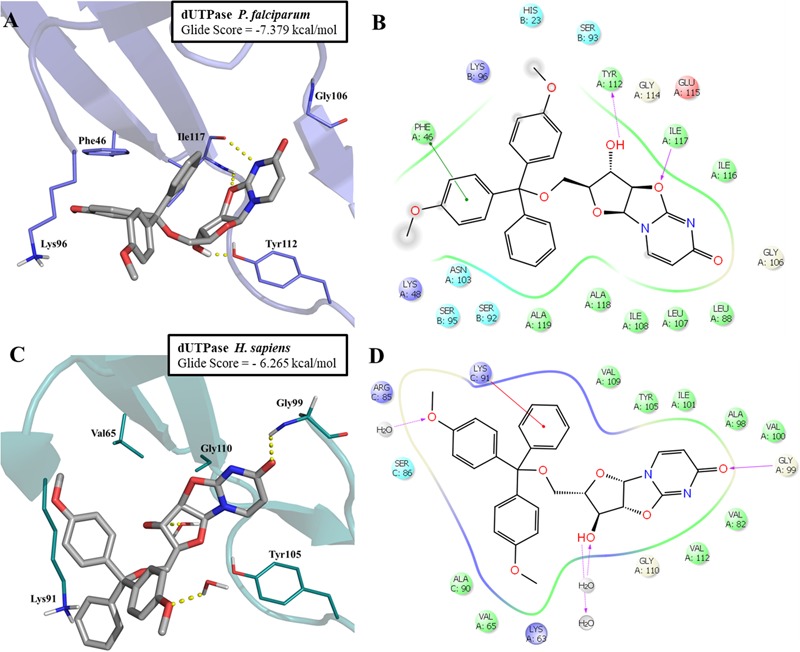 FIGURE 6