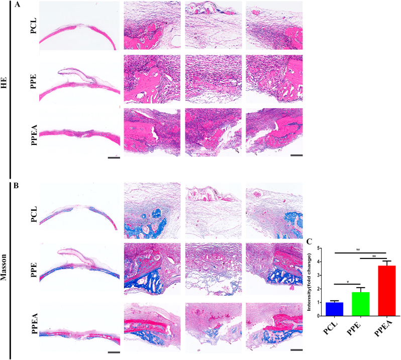 Fig. 7