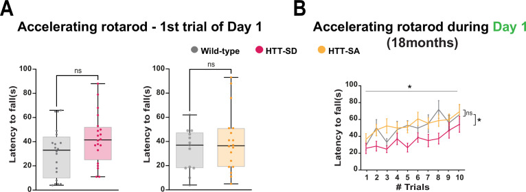 Figure 2—figure supplement 1.