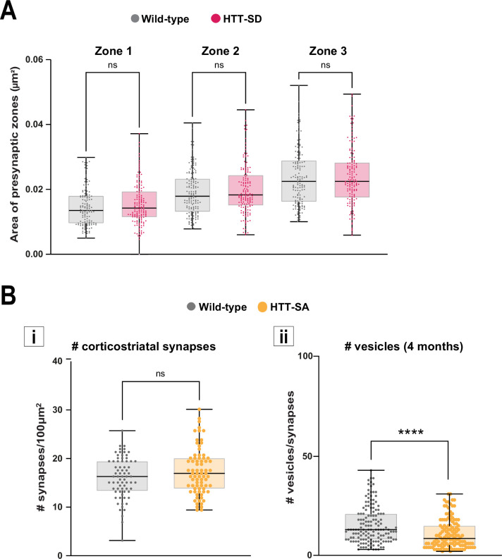 Figure 4—figure supplement 1.