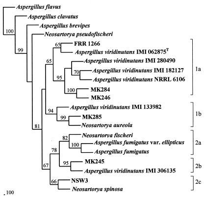 FIG. 2.