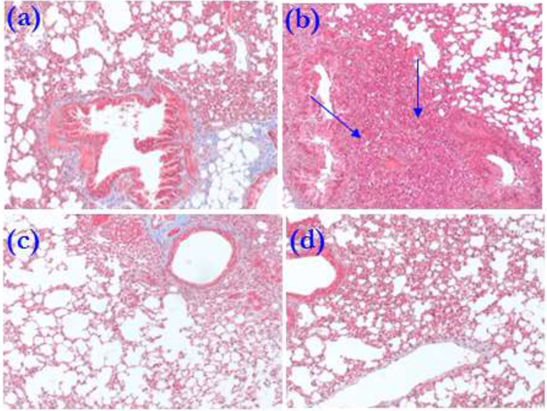 Figure 6: