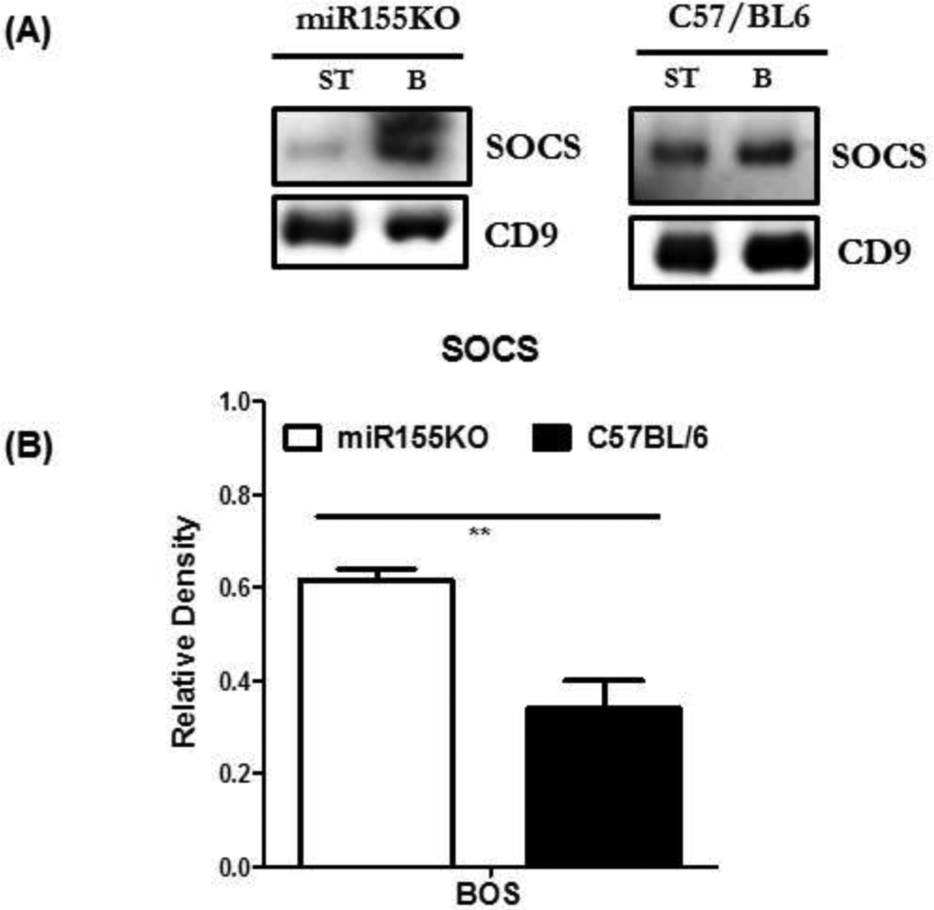 Figure 5: