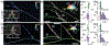 Fig. 3.