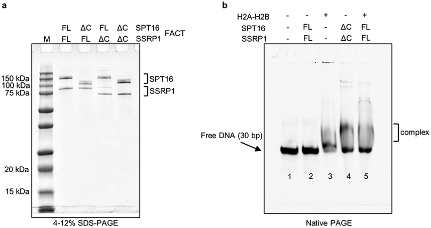 Extended Data Figure 6: