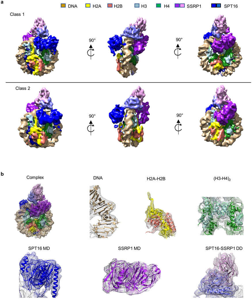 Extended Data Figure 3: