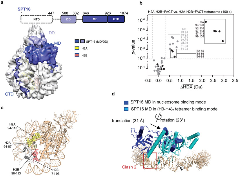 Figure 3: