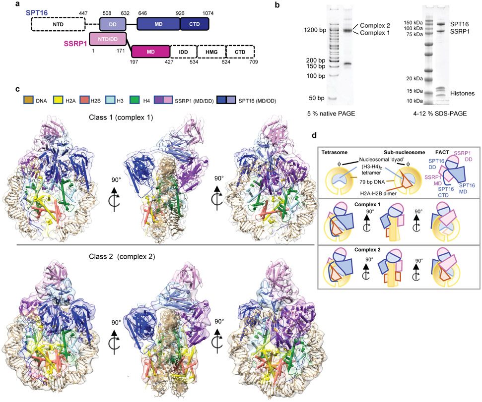 Figure 1: