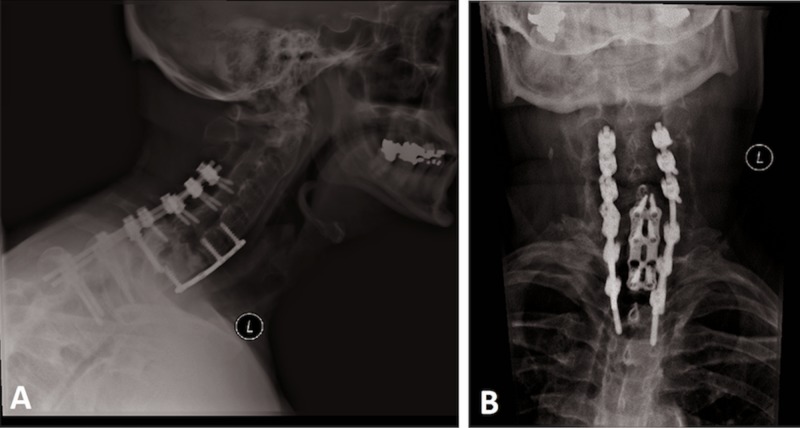 Figure 6