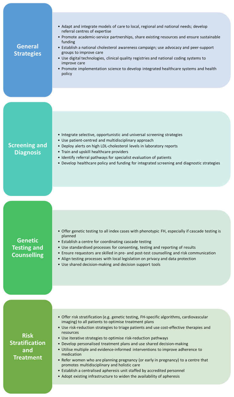 Overview of selected implementation strategies in the International Atherosclerosis Society guidance for best practice in the care of familial hypercholesterolaemia [5]