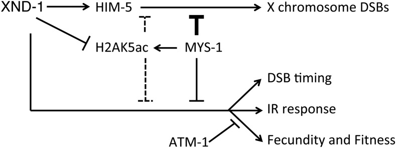 Figure 7