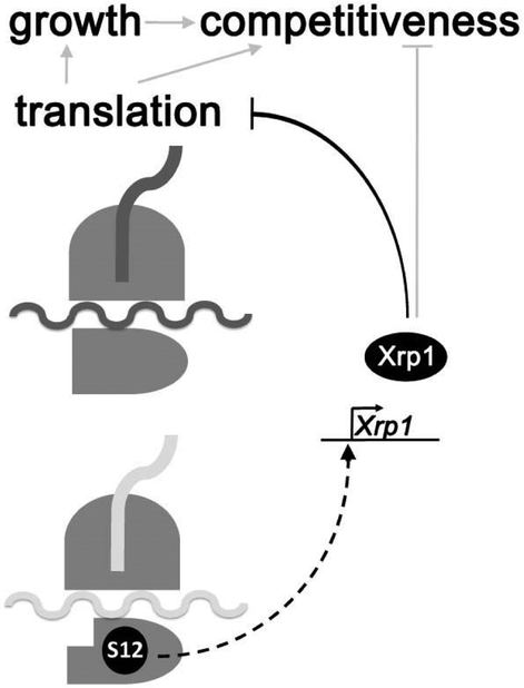 Figure 7.