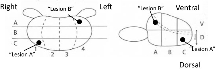 Fig. 4