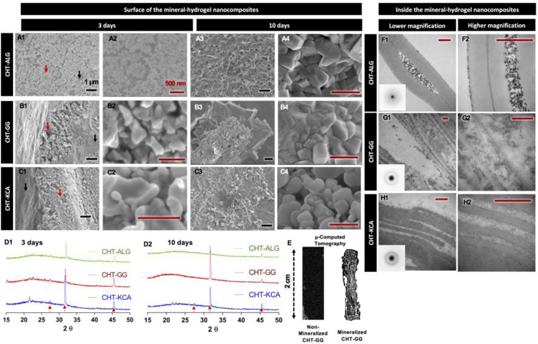 Figure 2: