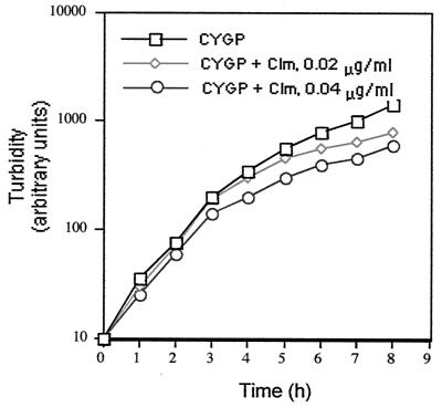 FIG. 1