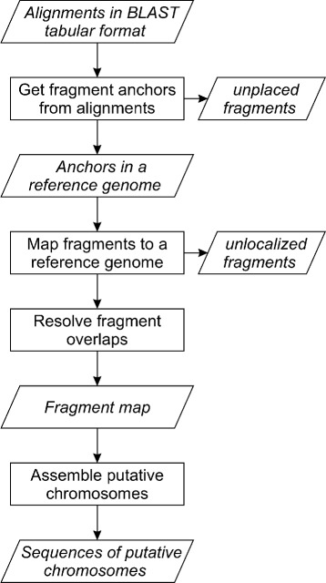 Fig. 1