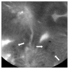 Fig. 5
