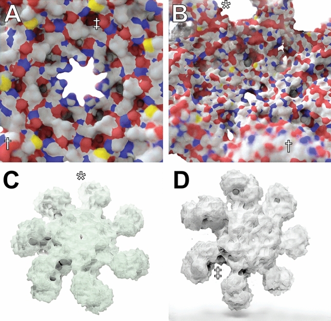 Fig. 4