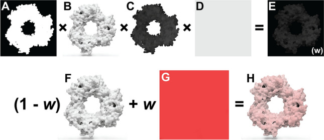 Fig. 2